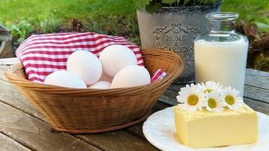 Regole di seduta su una dieta proteica